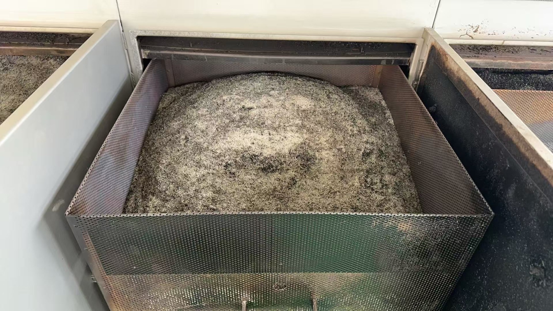 エシカルスターで生成された籾殻シリカ
